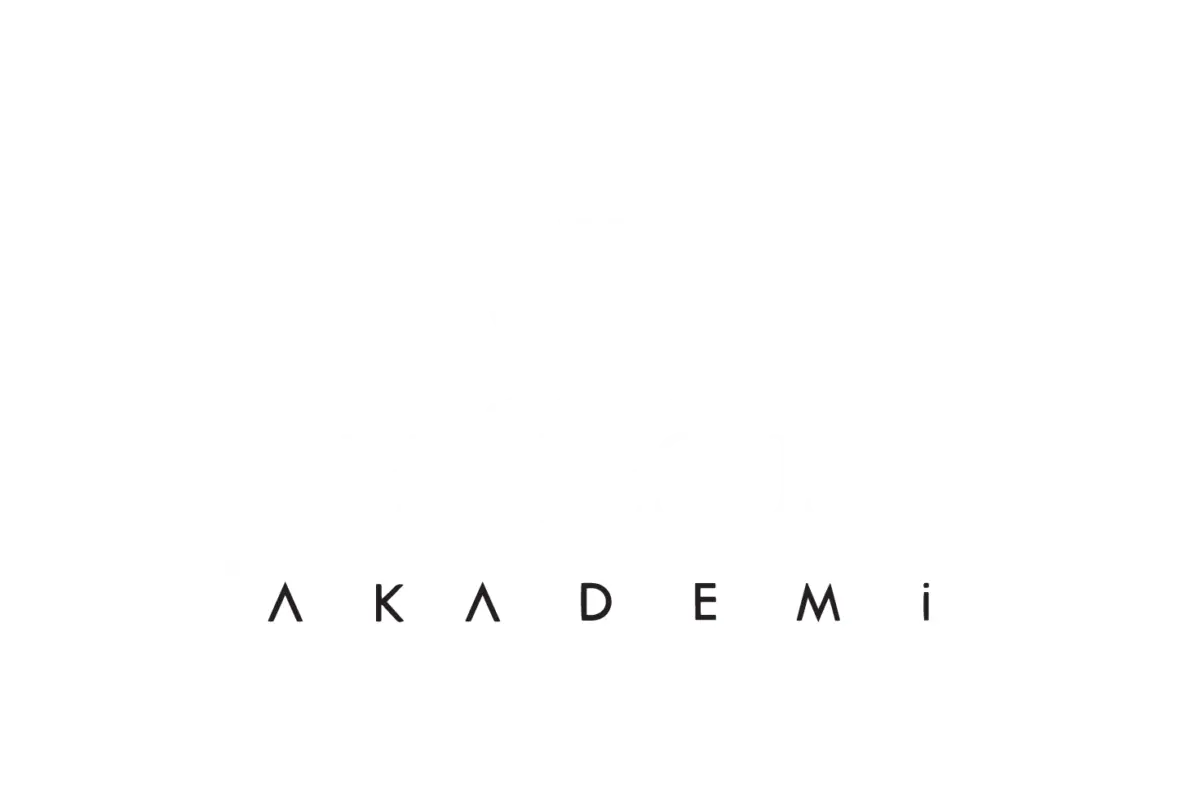 Ephesus Akademi
